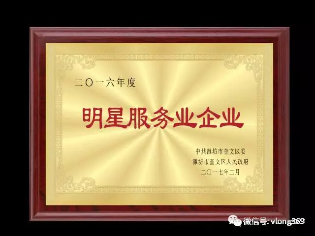 濰坊威龍電子商務(wù)科技有限公司獲得“2016年度明星服務(wù)業(yè)企業(yè)”稱號