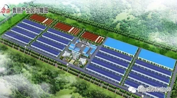 熱烈祝賀威龍VIP客戶魯麗木業(yè)首次登陸央視平臺(tái)